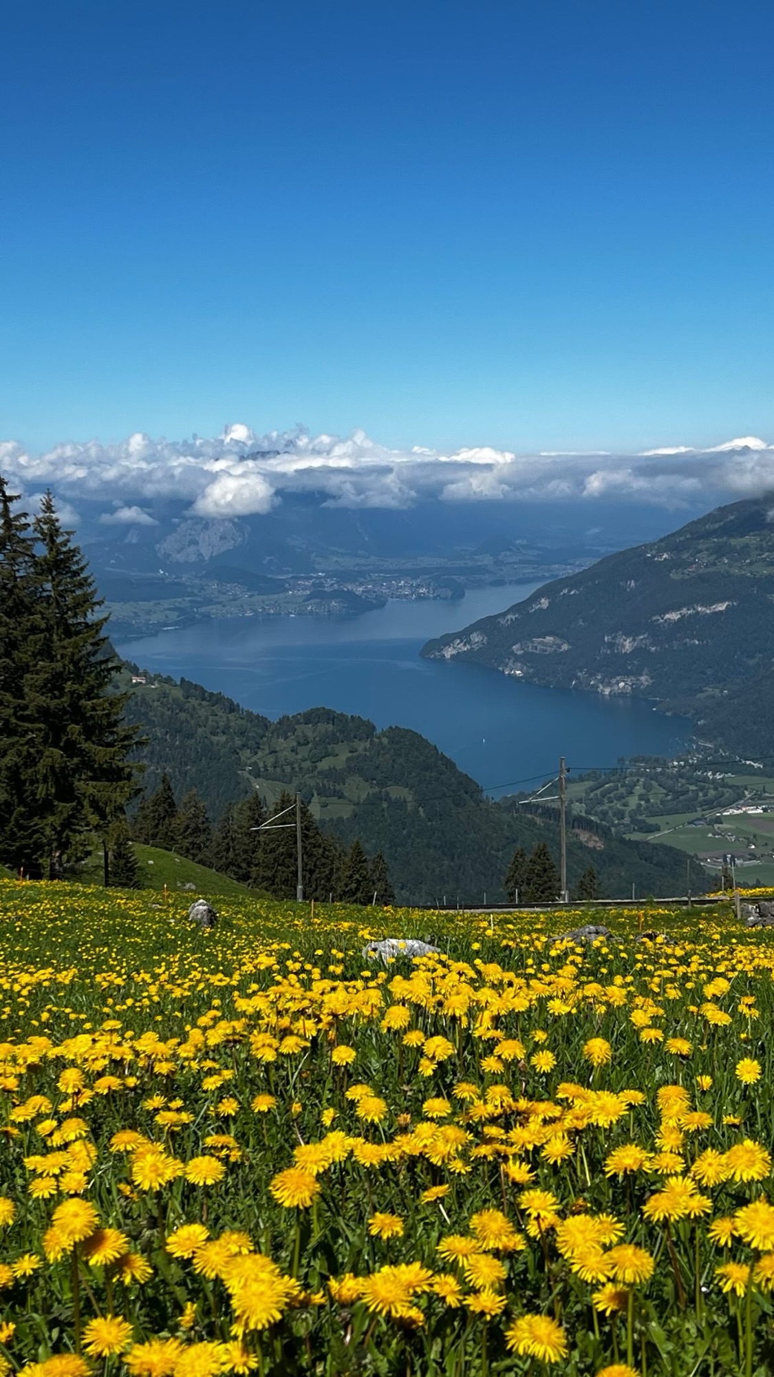 Breitlauenen Hike: Breathtaking Alpine Views